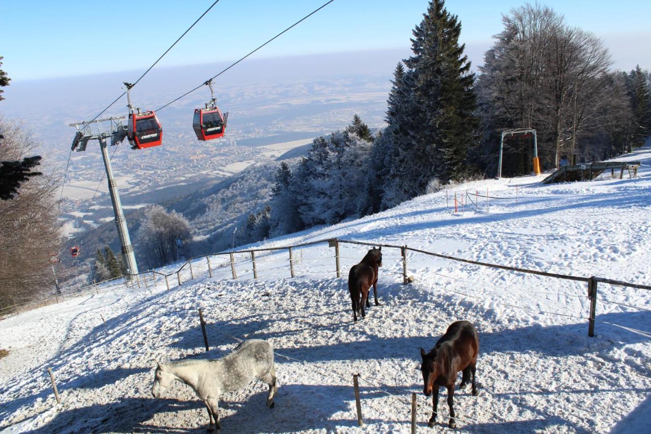 Pohorje Village Wellbeing Resort - Forest Hotel Videc Hočko Pohorje Exterior foto